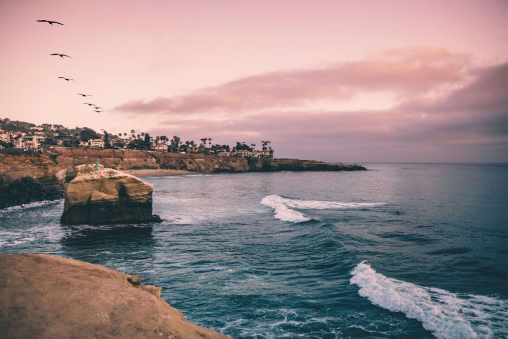 La Jolla beach-goers, be on the lookout for colorful