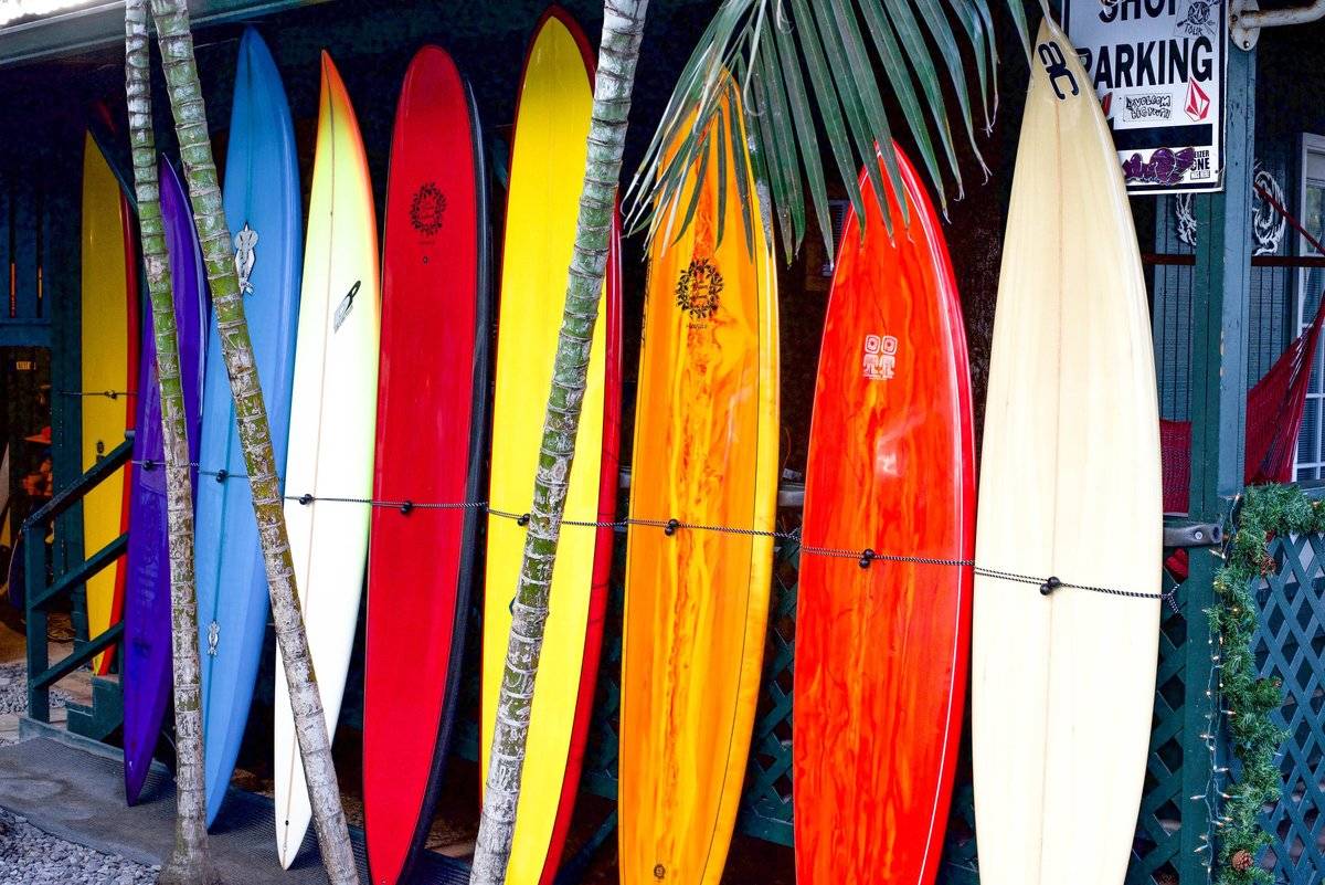 Surfing 101: Types of Surfboards - Everyday California